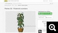 Bibliotheque-plante-3D